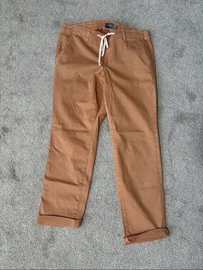 torrid Brown Drawstring Chino Pants